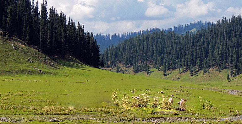 Kupwara